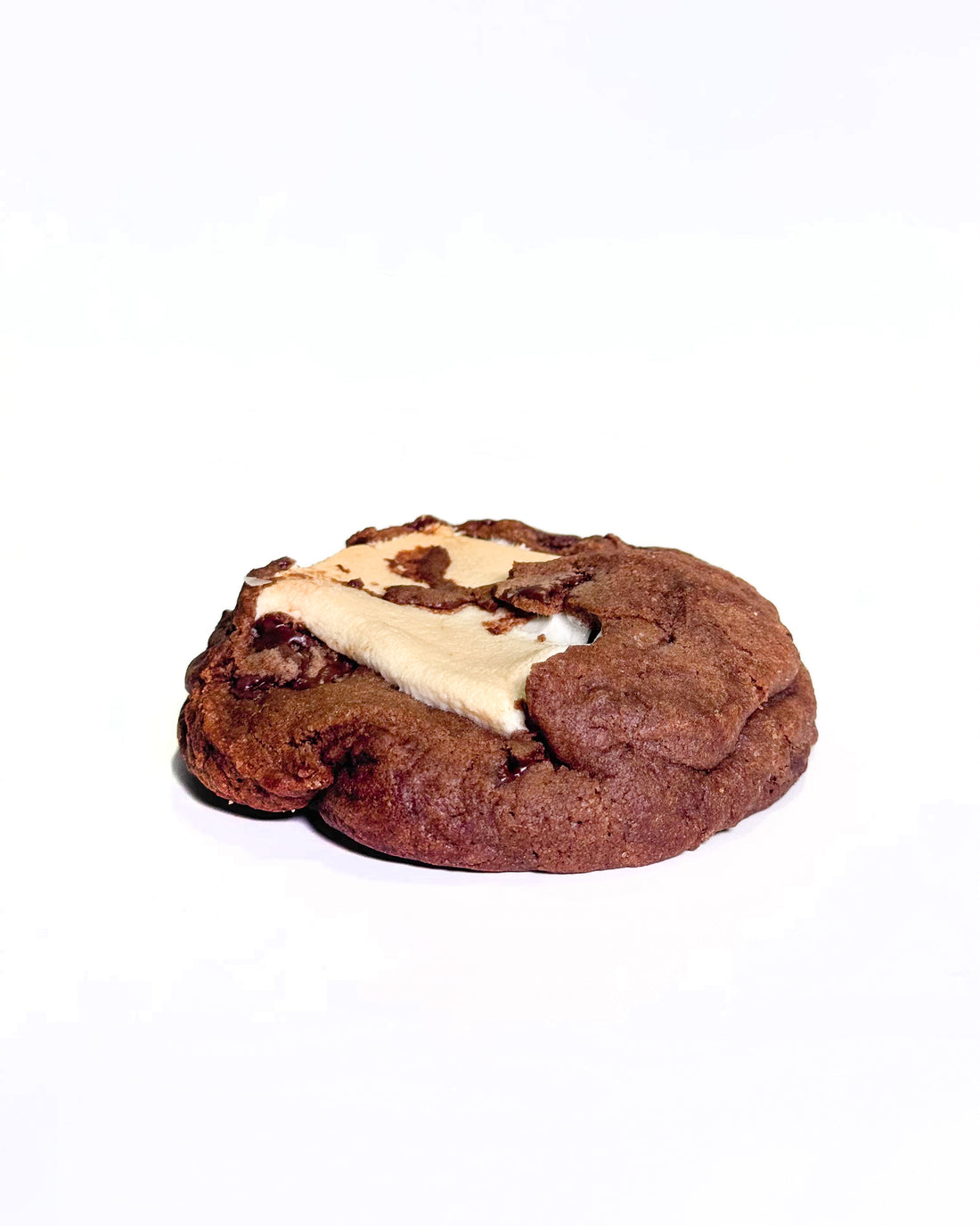 Chunky Cookies (Non Lactation)